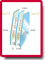 tripe vitrage fenetre pvc